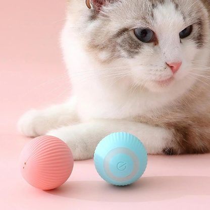 2x1 Pelota Interactiva  – Sensor 360° – Entretiene Solo Sin Que Estés!