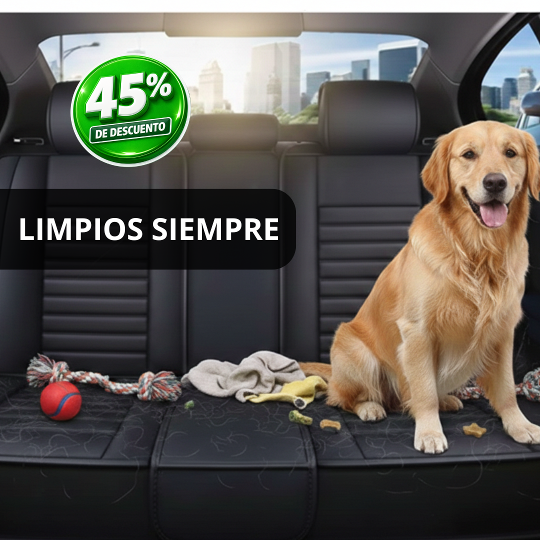 Pack Fundas Auto Premium - Fácil Limpieza – Asientos impecables siempre!