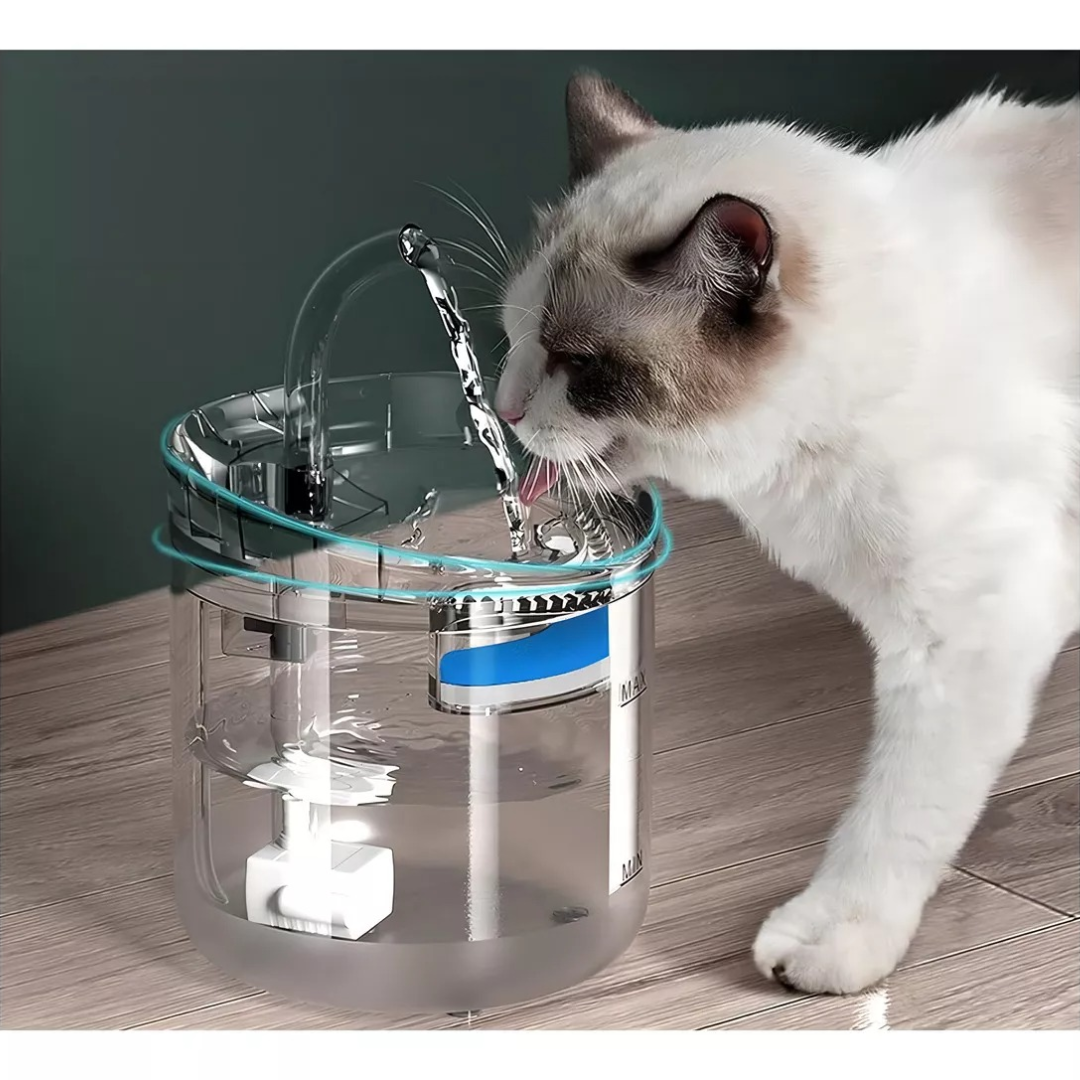 Bebedero Auto – Agua Fresca 24/7 – Tu mascota hidratada, tu mente tranquila.