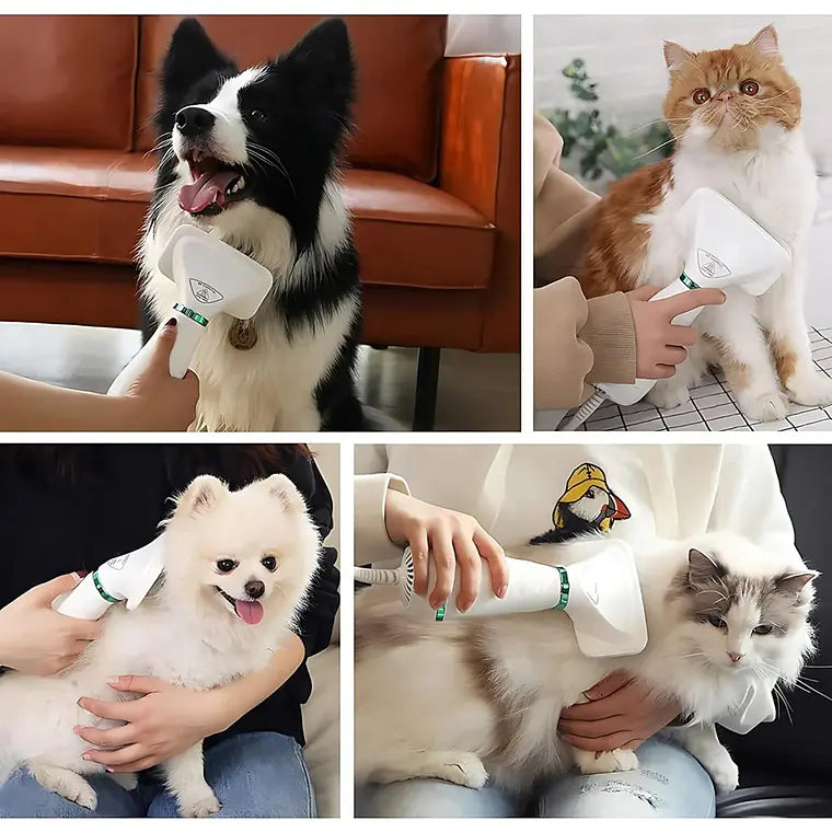 Secador Cepillo para tu mascota – Ahorra Tiempo  – Pelo Perfecto Rápido