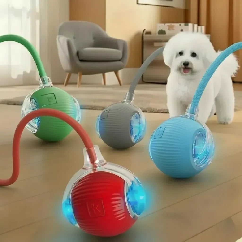 Pelota Interactiva –  Diversión Segura Sin Fin