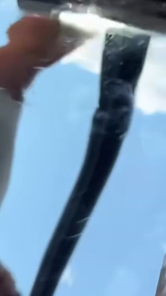 FILMVIDRIO-foto1.jpg