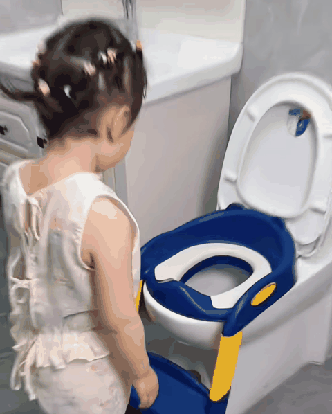 adaptador-bano-escalera-gif-2.gif