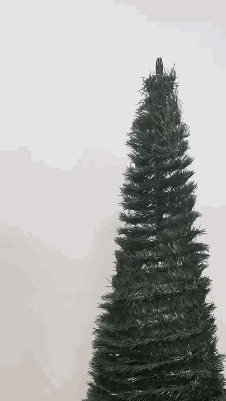 anv-1023b-gif2.gif