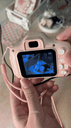 camara-gif-1.gif