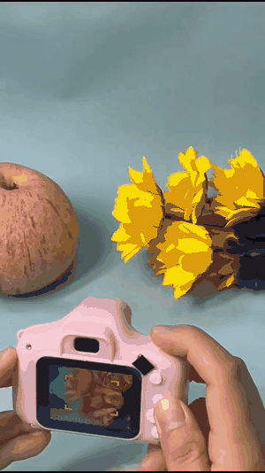 camara-gif-3.gif