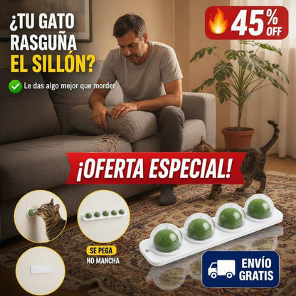 Bolas de Catnip para Pared – Pack de 3 – Hierba Gatera Natural — imagen 3