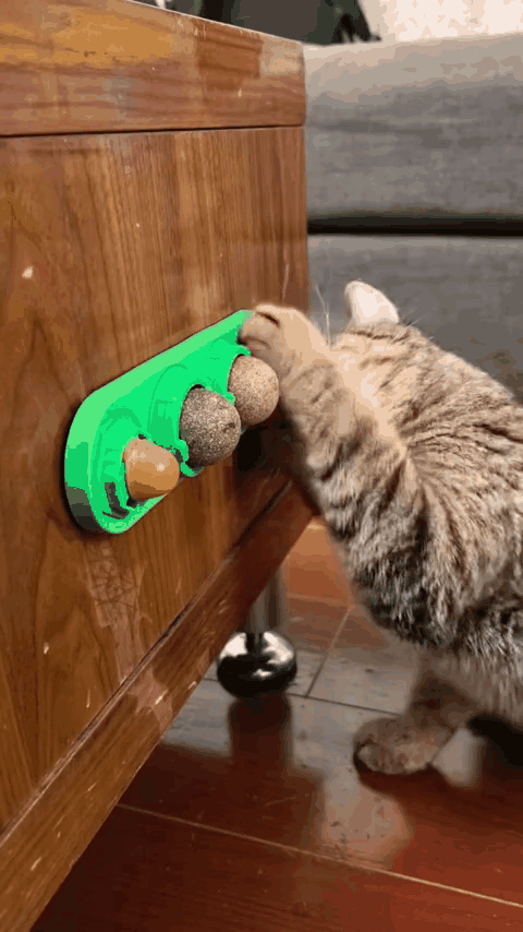 catnip-pared-gif-3.gif