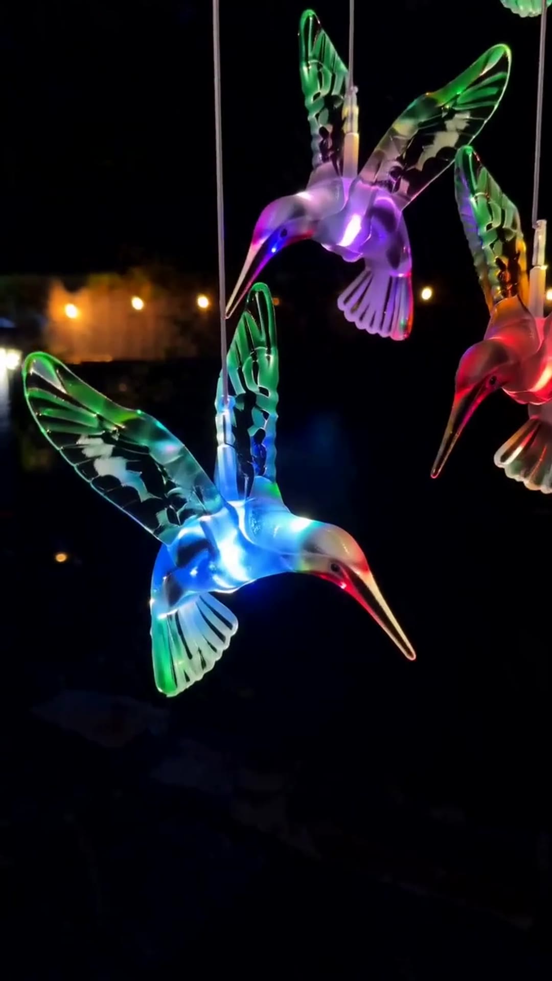 colibri-solar-foto-2.jpg
