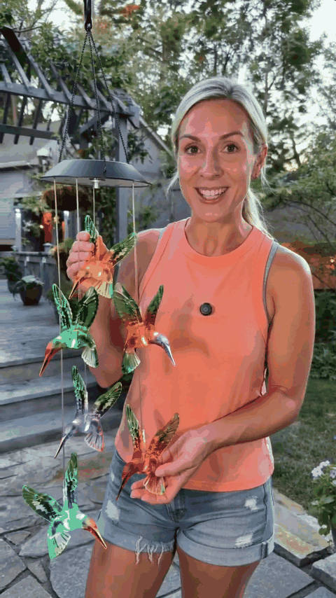 colibri-solar-gif-1.gif