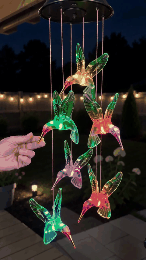 colibri-solar-gif-2.gif
