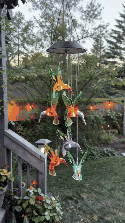 colibri-solar-gif-3.gif