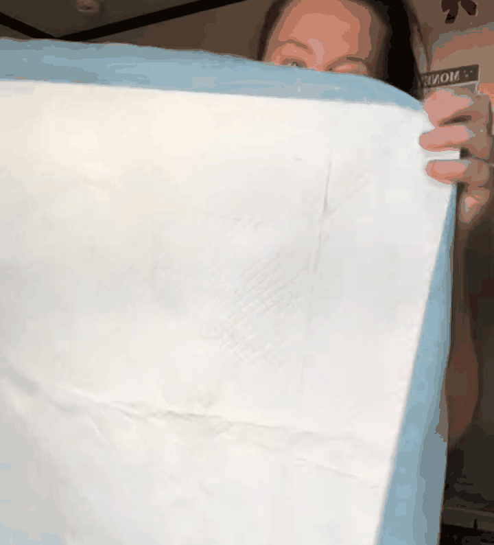 empapadores-feromonas-gif-1.gif