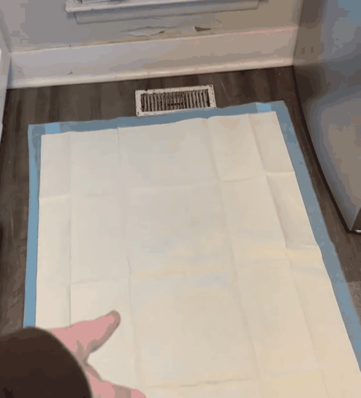empapadores-feromonas-gif-3.gif