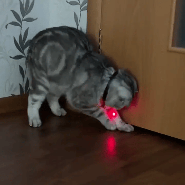 gif-1