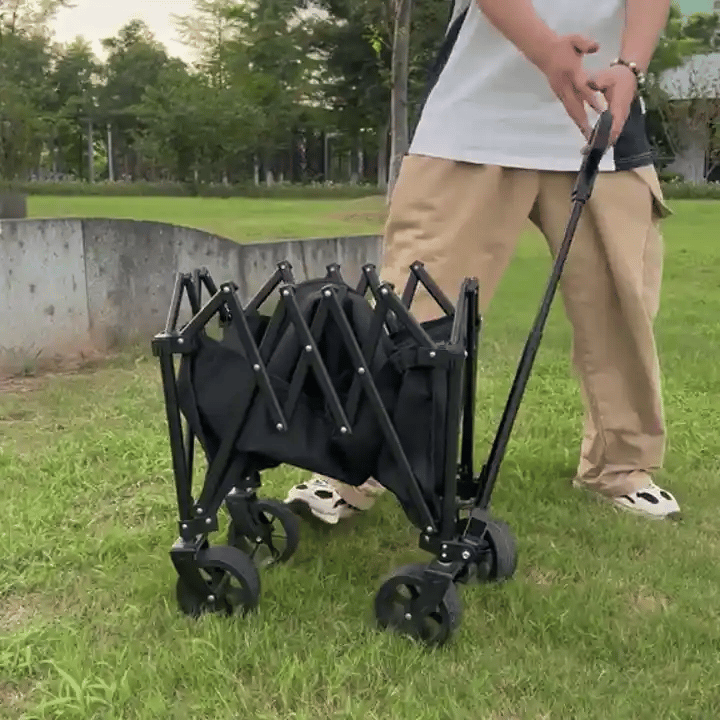gif-1
