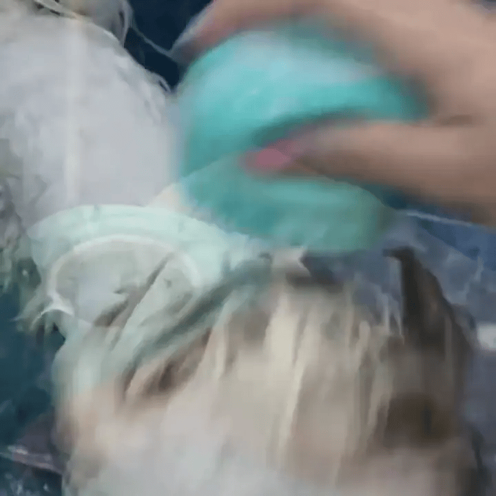 gif-1