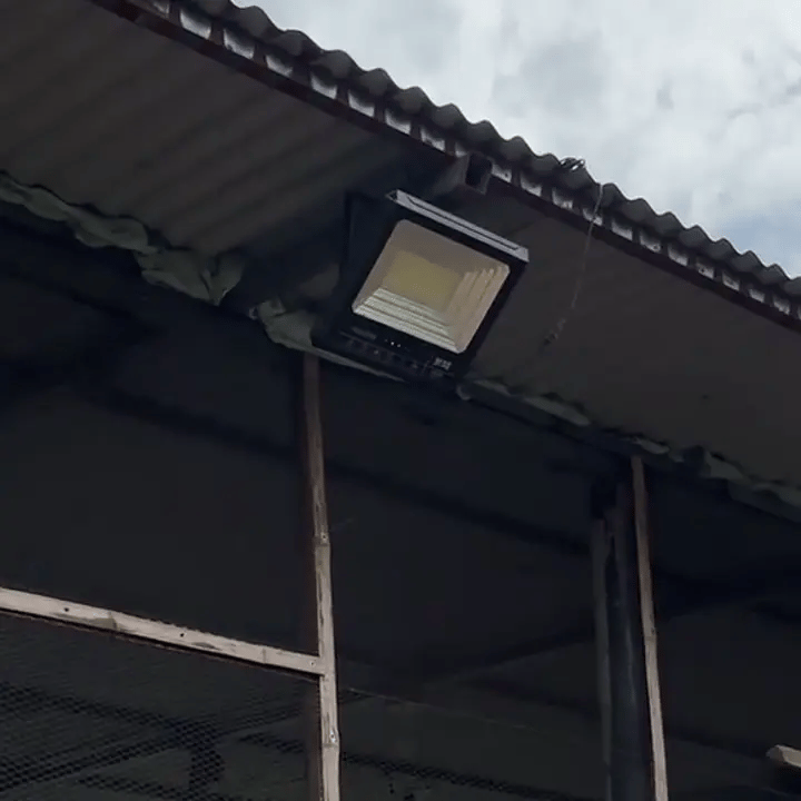 gif-2