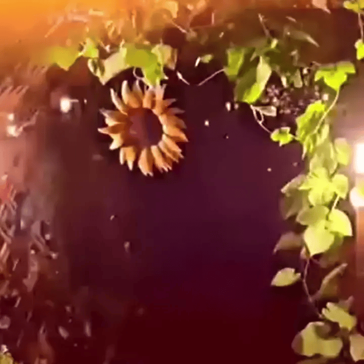 gif-3