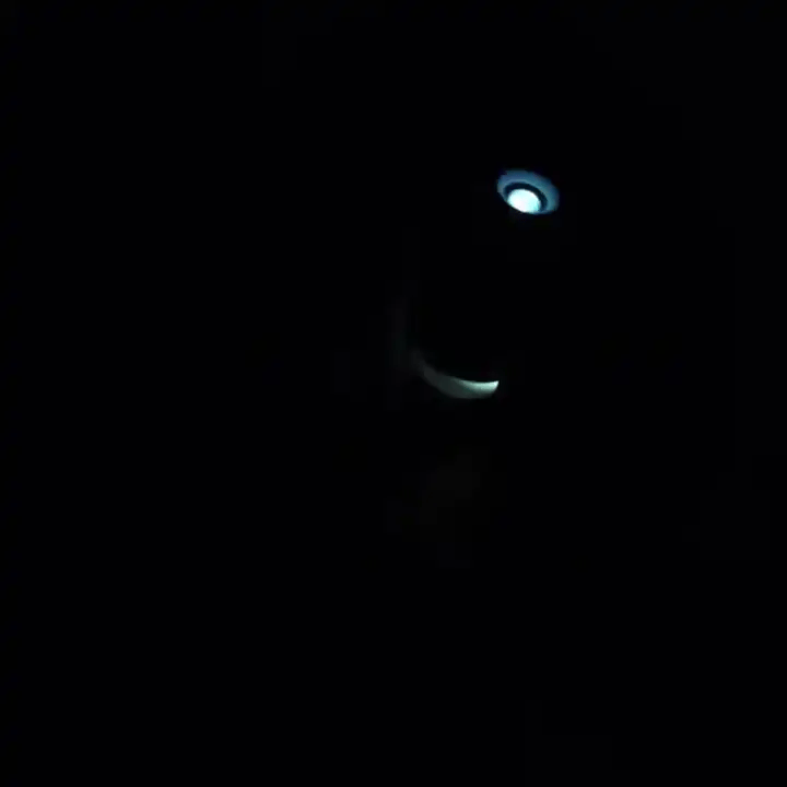 gif-3