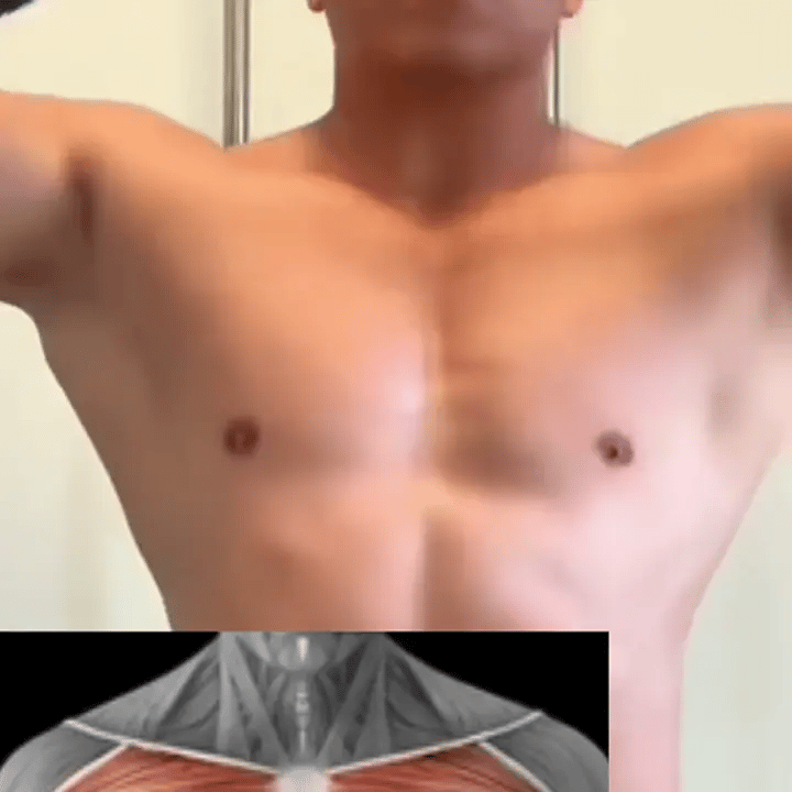 gif-3