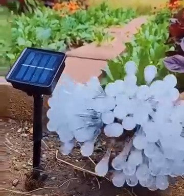 guirnalda-solar-foto-1.jpg