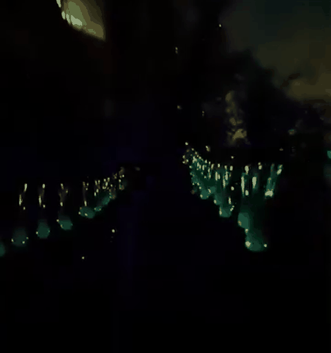 guirnalda-solar-gif-1.gif