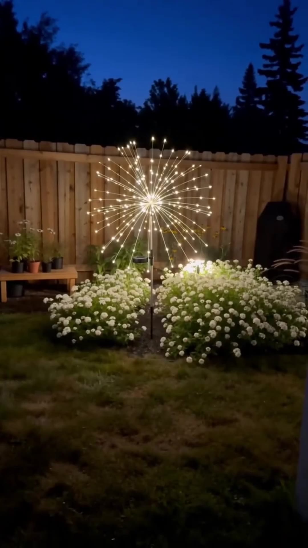 luces-foto-1.jpg