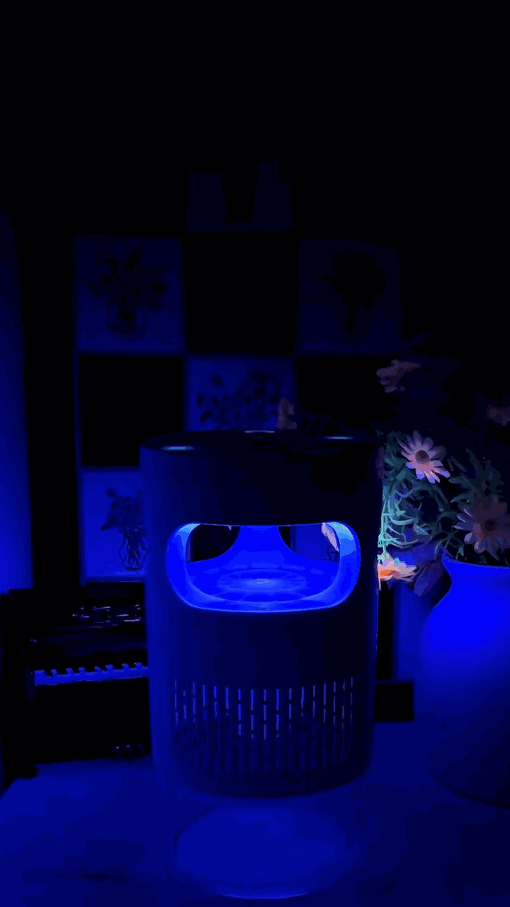 mmq-1022-gif3.gif