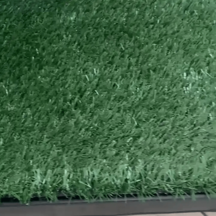 gif-3