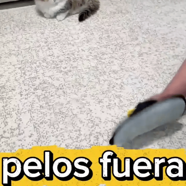 gif-2