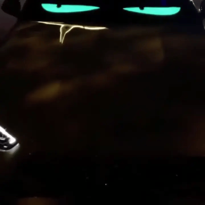 gif-2