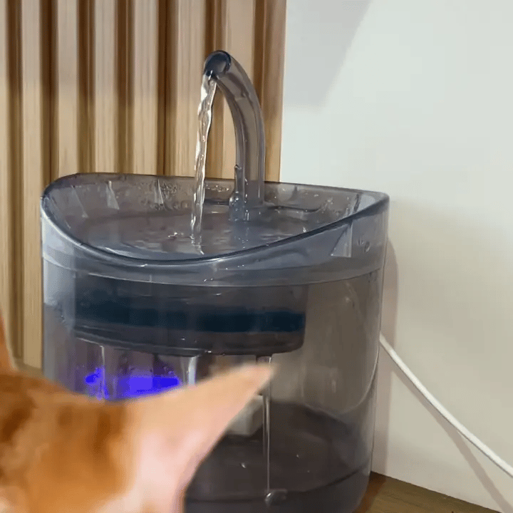 gif-2