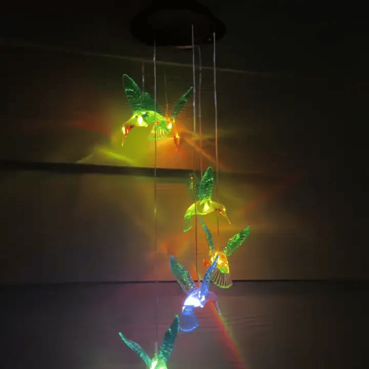 gif-2